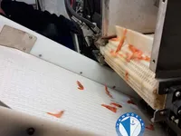 Trawler te koop