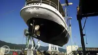 Veerboot te koop