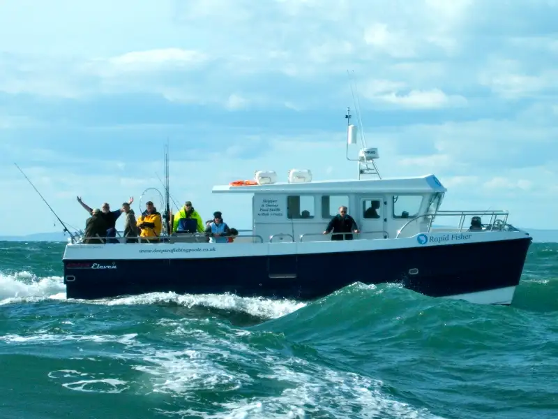 Catamaran te koop