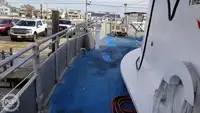 Catamaran te koop