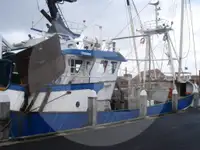 Beurtvisser te koop