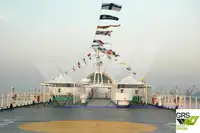 Ro-Ro-schip te koop