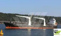 Bulkcarrier te koop