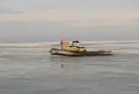 Sleepboot Te koop