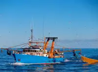 Trawler Te koop