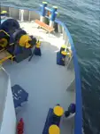 Koelschip te koop