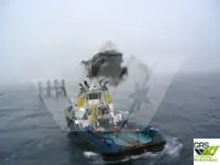 Sleepboot Te koop