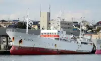 Trawler Te koop