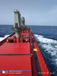Bulkcarrier te koop