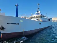 Longliner Te koop