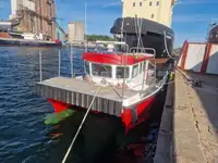 Catamaran Te koop