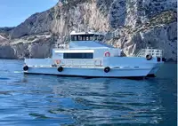Catamaran Te koop