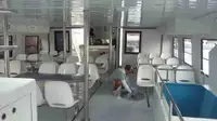 Catamaran te koop