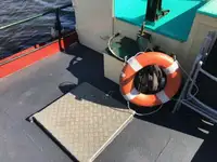 Sleper te koop