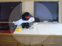 Trawler te koop