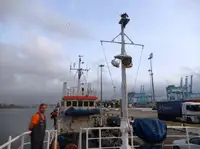 Werkboten te koop