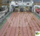 Ro-Ro-schip te koop