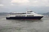 Catamaran Te koop