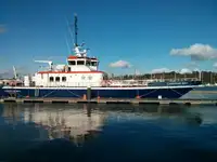 Catamaran te koop