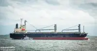 Bulkcarrier te koop