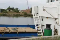 Werkboten te koop