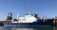 Werkboten te koop
