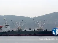 Koelschip te koop