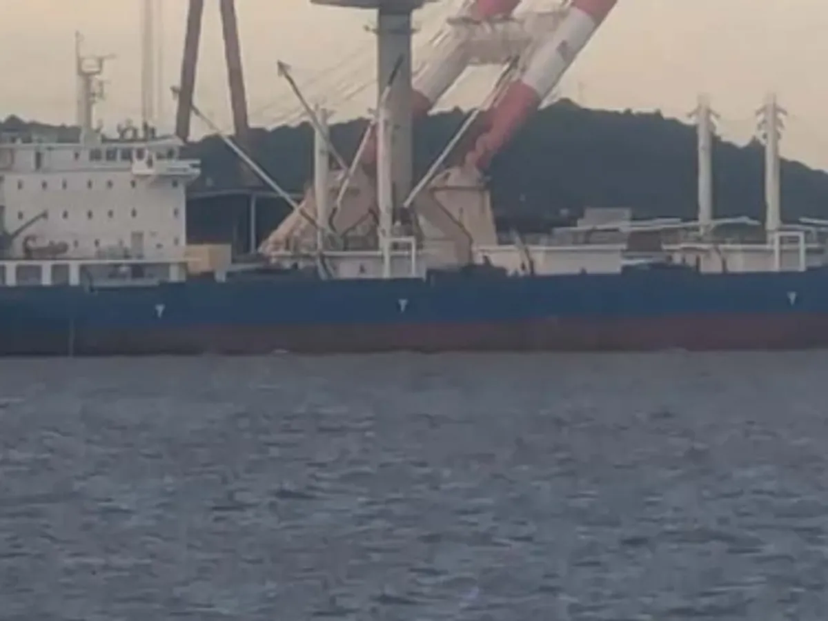 Koelschip te koop