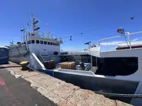 Trawler te koop