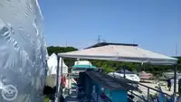 Containerschip te koop