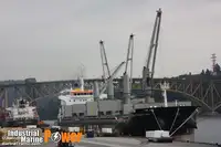 Bulkcarrier te koop