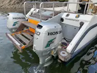 Catamaran te koop