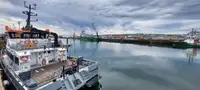 Catamaran te koop
