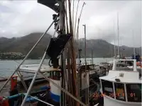 Trawler te koop