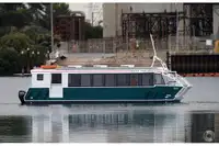 Catamaran te koop