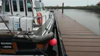 Loodsboot Te koop