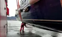 Werkboten te koop