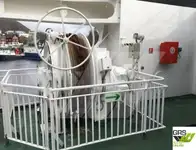 Ro-Ro-schip te koop
