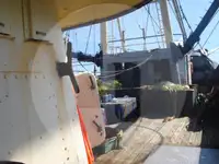 Beurtvisser te koop