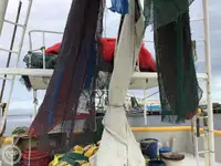 Trawler te koop