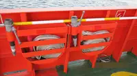 Catamaran te koop