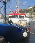 Trawler te koop