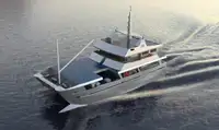 Catamaran Te koop