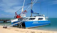 Catamaran te koop