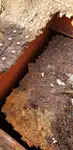Sleperschip te koop