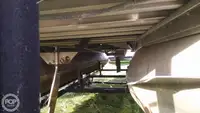 Containerschip te koop