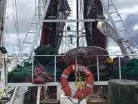 Trawler te koop