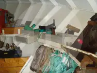 Beurtvisser te koop