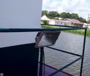 Sleperschip te koop