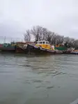 Sleepboot Te koop